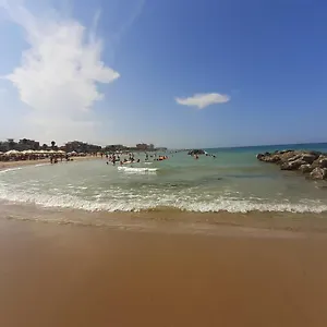 Girasole Llido Degli Estensi