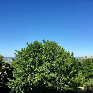Casa Clara Torriana